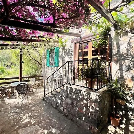 Benzersiz Jakuzili