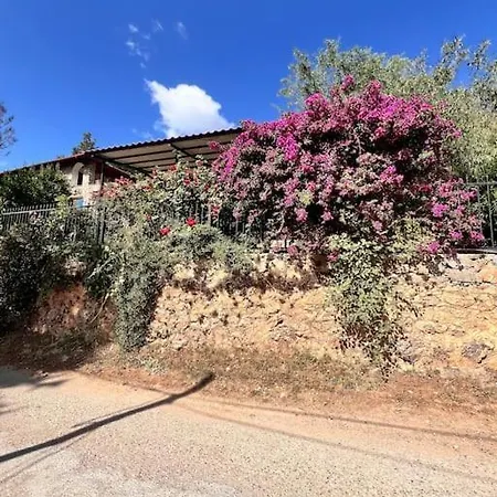 וילה Benzersiz Jakuzili פאטהיה