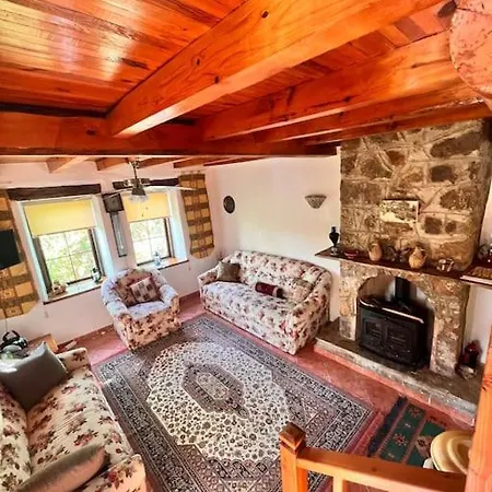 Benzersiz Jakuzili Vila Fethiye