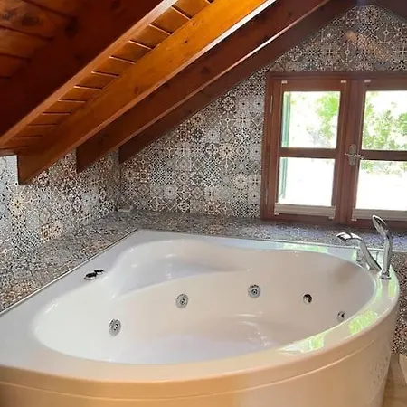 Benzersiz Jakuzili Vila *
