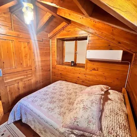 Vila Benzersiz Jakuzili