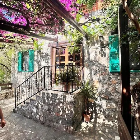 Benzersiz Jakuzili Vila Fethiye