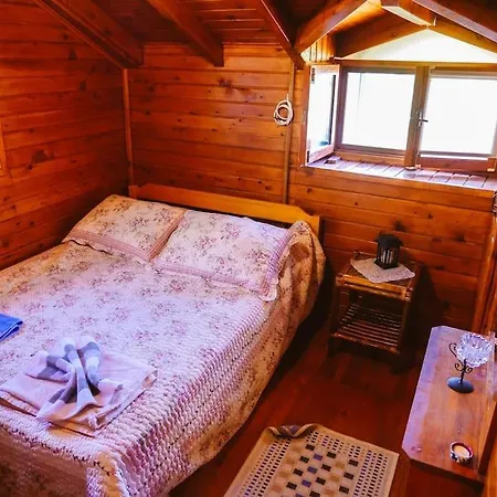 Benzersiz Jakuzili * Fethiye