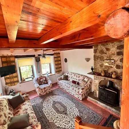 Benzersiz Jakuzili Vila