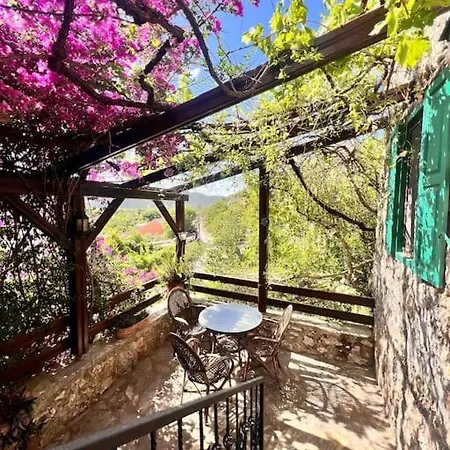 Benzersiz Jakuzili Vila
