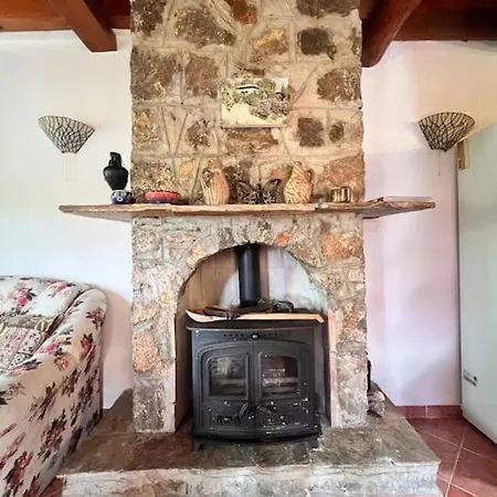 Vila Benzersiz Jakuzili