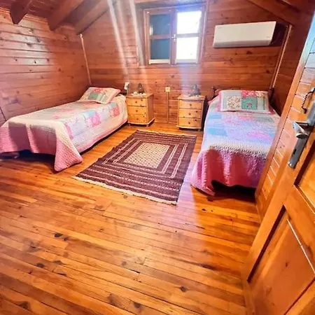 Benzersiz Jakuzili Vila *