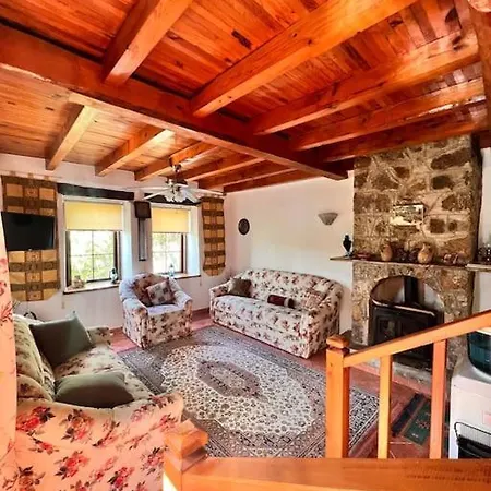 Vila Benzersiz Jakuzili