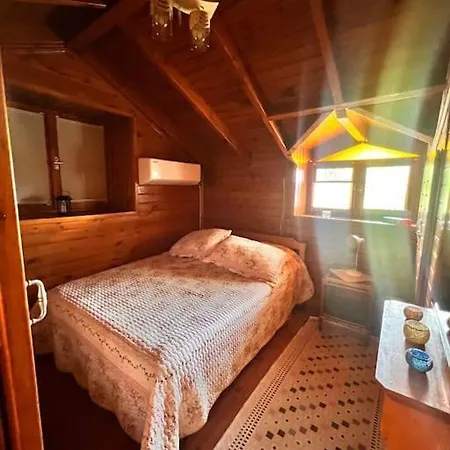 Benzersiz Jakuzili Vila Fethiye