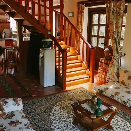 Benzersiz Jakuzili * Fethiye